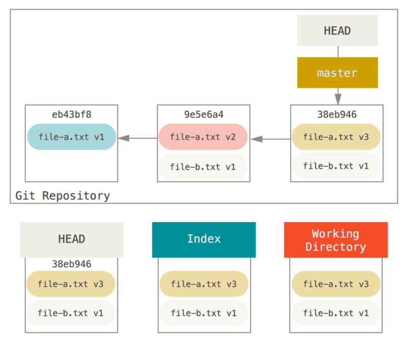 reset-squash-r1